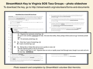 StreamWatch Key to Virginia SOS Taxa Groups – photo slideshow To download the key, go to http://streamwatch.org/volunteers/forms-and-documents Photo research and compilation by StreamWatch volunteer Bob Henricks. 