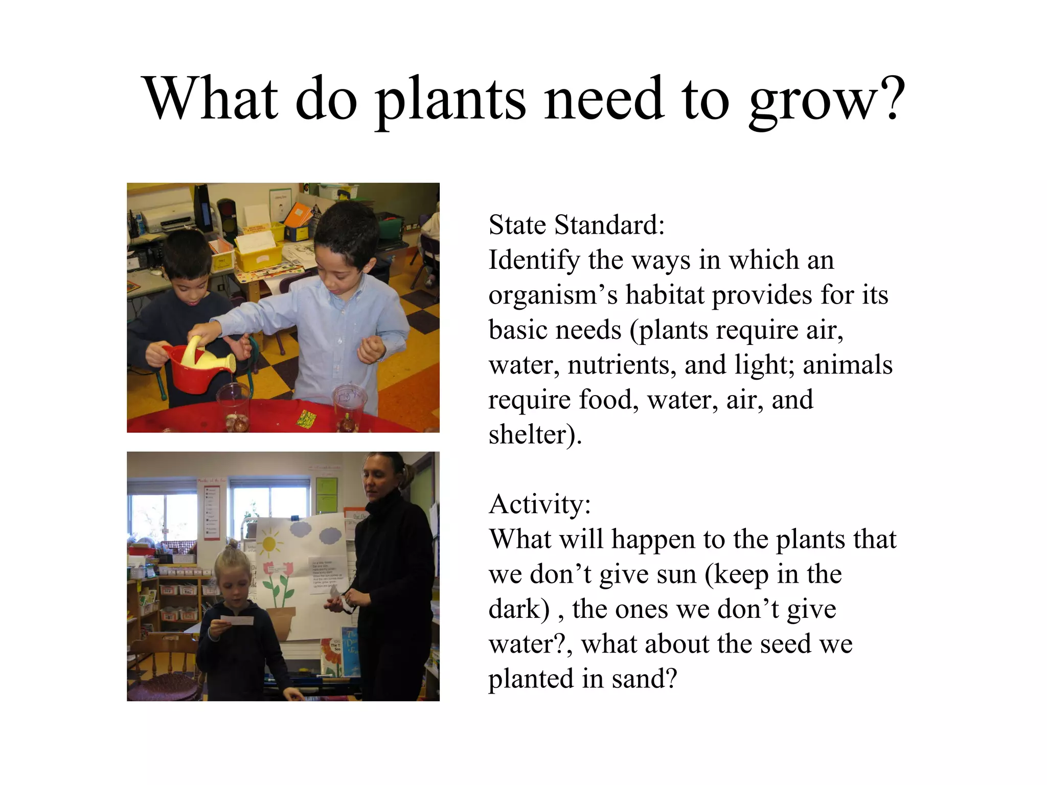 What do plants need to grow? State Standard: Identify the ways in which an organism’s habitat provides for its basic needs (plants require air, water, nutrients, and light; animals require food, water, air, and shelter). Activity: What will happen to the plants that we don’t give sun (keep in the dark) , the ones we don’t give water?, what about the seed we planted in sand? 