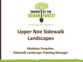 Upper Noe Sidewalk
Landscapes
Madalyn Farquhar,
Sidewalk Landscape Planting Manager
 