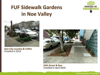 Spin City Laundry & Coffee
Installed in 2012
FUF Sidewalk Gardens
in Noe Valley
26th Street & Noe
Installed in April 2016
 