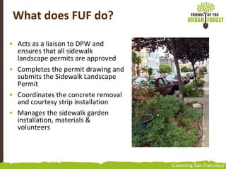 • Acts as a liaison to DPW and
ensures that all sidewalk
landscape permits are approved
• Completes the permit drawing and
submits the Sidewalk Landscape
Permit
• Coordinates the concrete removal
and courtesy strip installation
• Manages the sidewalk garden
installation, materials &
volunteers
What does FUF do?
 