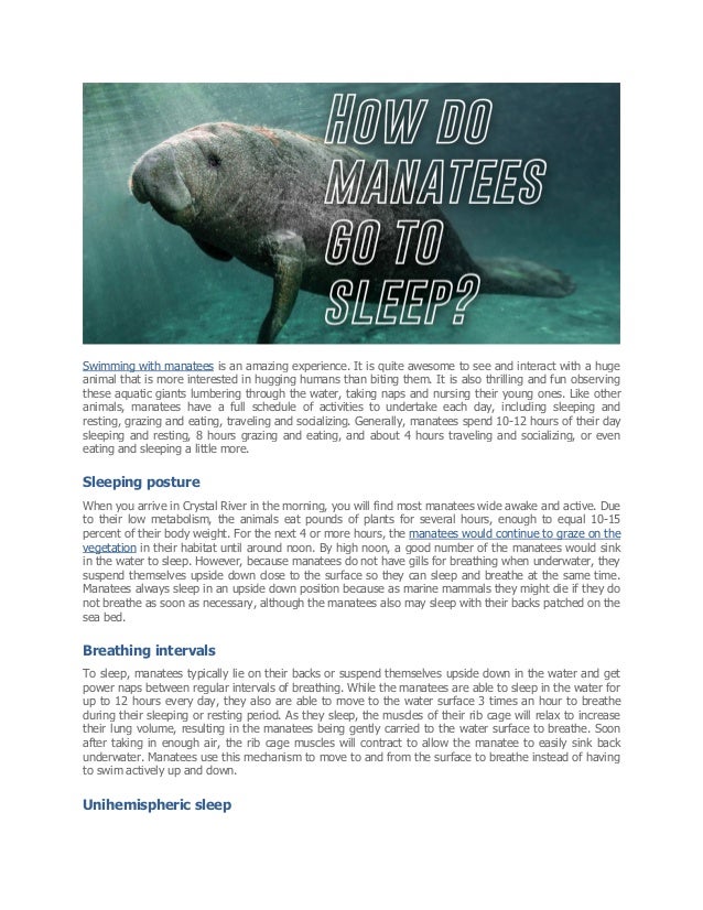 How Do Manatees Go To Sleep?