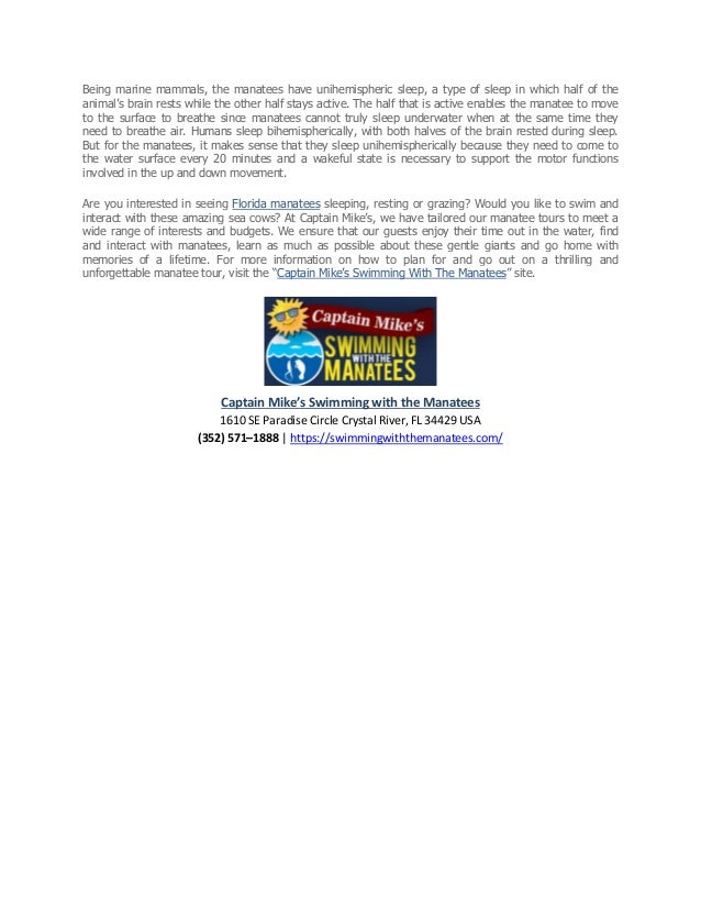 How Do Manatees Go To Sleep?