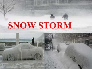 SNOW STORM
 