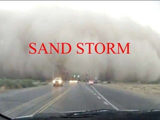 SAND STORM
 