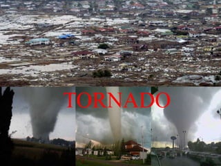 TORNADO
 