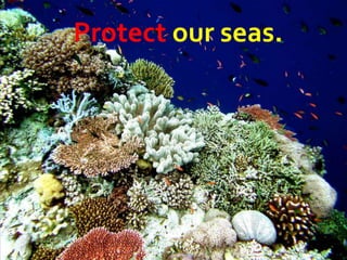 Protect our seas.
 