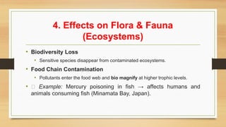 4. Effects on Flora & Fauna
(Ecosystems)
• Biodiversity Loss
• Sensitive species disappear from contaminated ecosystems.
• Food Chain Contamination
• Pollutants enter the food web and bio magnify at higher trophic levels.
• 📌 Example: Mercury poisoning in fish → affects humans and
animals consuming fish (Minamata Bay, Japan).
 