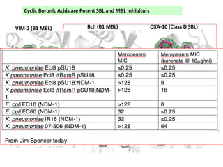 VIM-2 (B1 MBL) BcII (B1 MBL) OXA-10 (Class D SBL)
Cyclic Boronic Acids are Potent SBL and MBL Inhibitors
 
