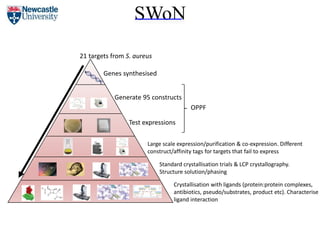 SWoN
21 targets from S. aureus
Generate 95 constructs
Genes synthesised
Test expressions
OPPF
Large scale expression/purification & co-expression. Different
construct/affinity tags for targets that fail to express
Standard crystallisation trials & LCP crystallography.
Structure solution/phasing
Crystallisation with ligands (protein:protein complexes,
antibiotics, pseudo/substrates, product etc). Characterise
ligand interaction
 
