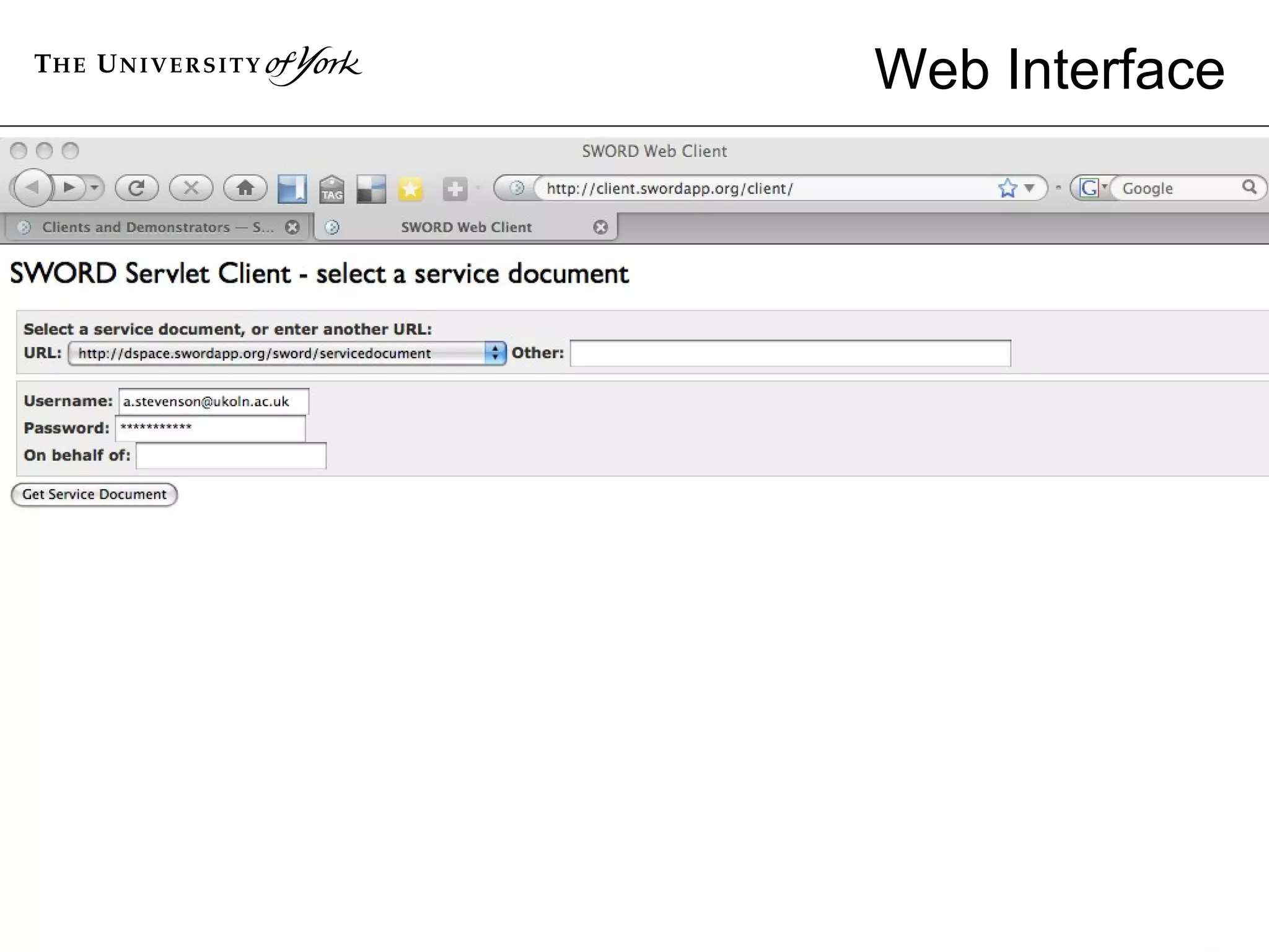 Web Interface 