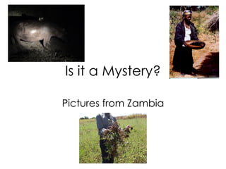 Is it a Mystery? Pictures from Zambia 