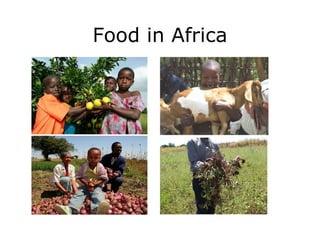 Food in Africa 