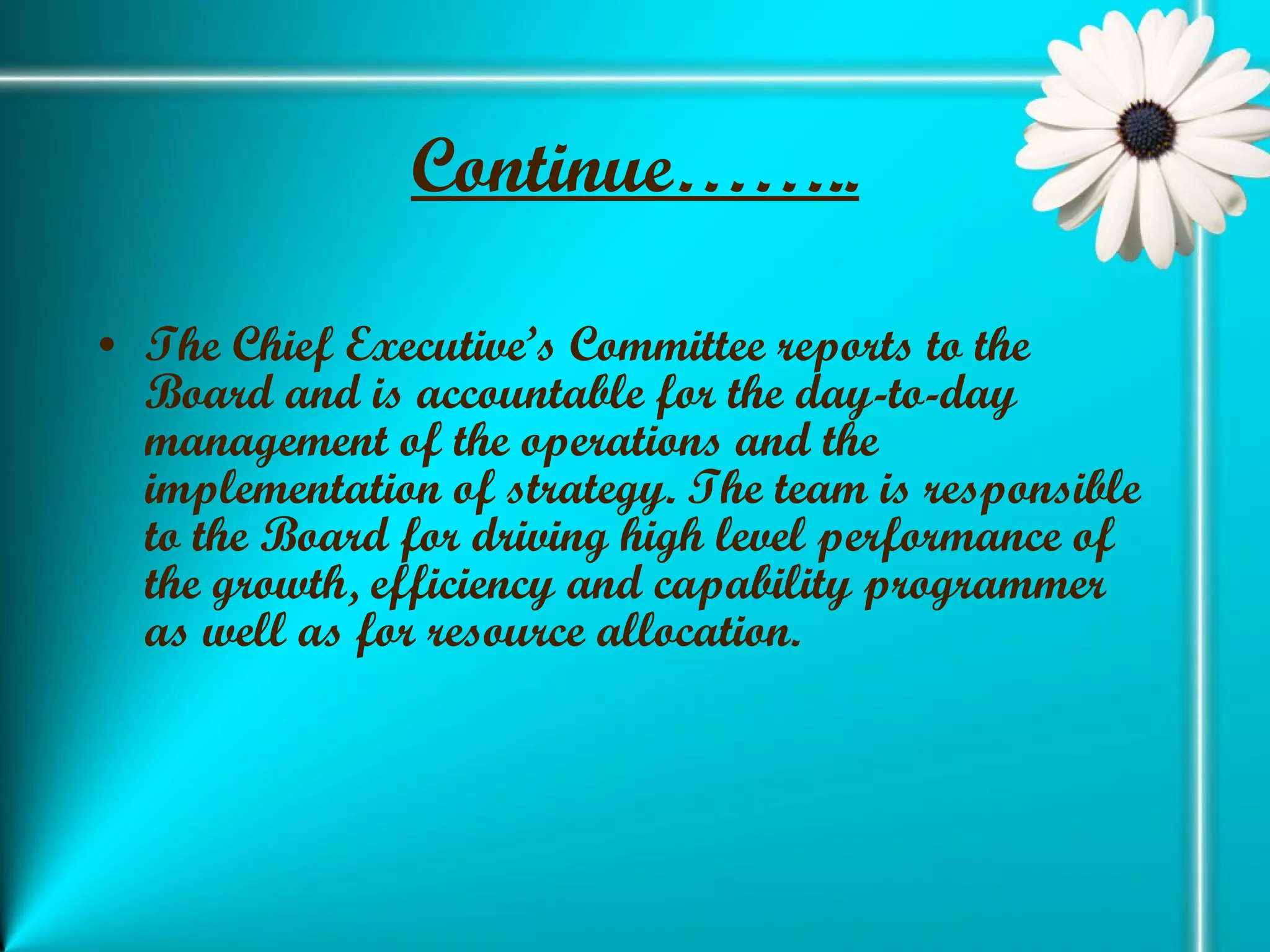 Continue…….. The Chief Executive’s Committee reports to the Board and is accountable for the day-to-day management of the operations and the implementation of strategy. The team is responsible to the Board for driving high level performance of the growth, efficiency and capability programmer as well as for resource allocation. 