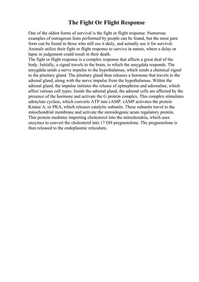 Swot Analysis Essay Sample Swot Analysis Essay Example A Swot Analysis Of Skechers Essay Swot Analysis Essay Sample Swot Analysis Essay Example A Swot Analysis Of Skechers Essay