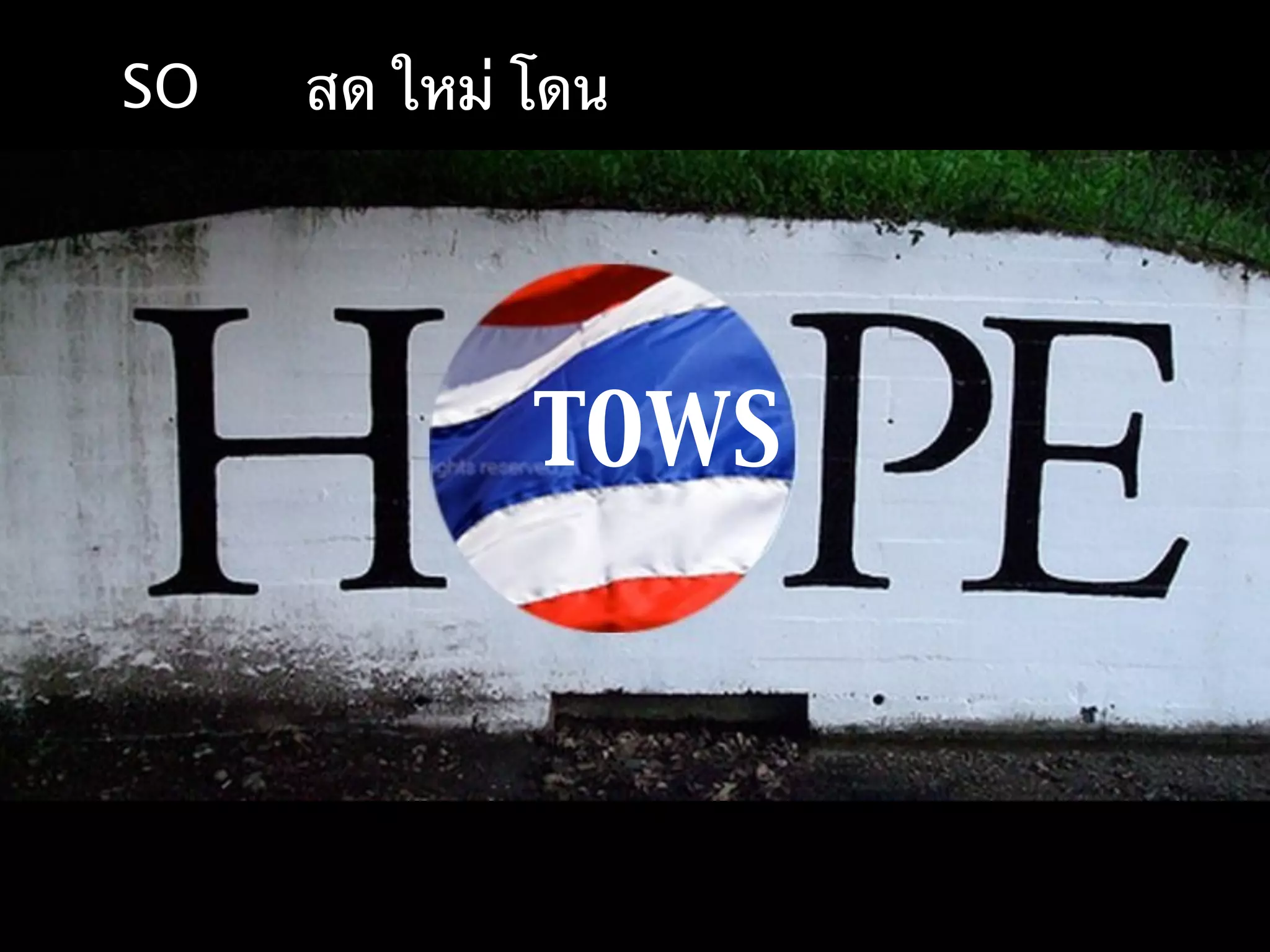 SO   สด ใหม่ โดน




             TOWS
 