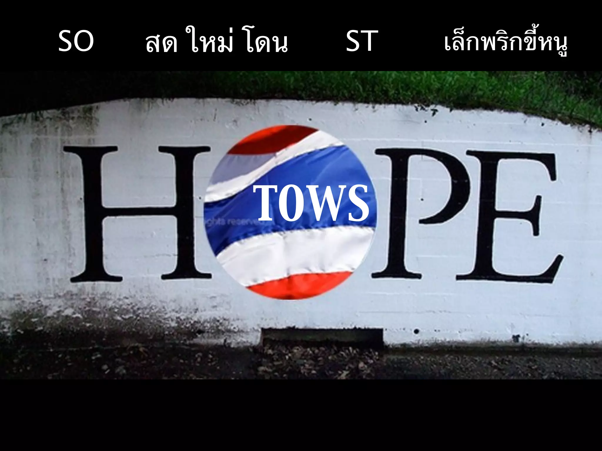 SO   สด ใหม่ โดน   ST   เล็กพริกขี้หนู




             TOWS
 