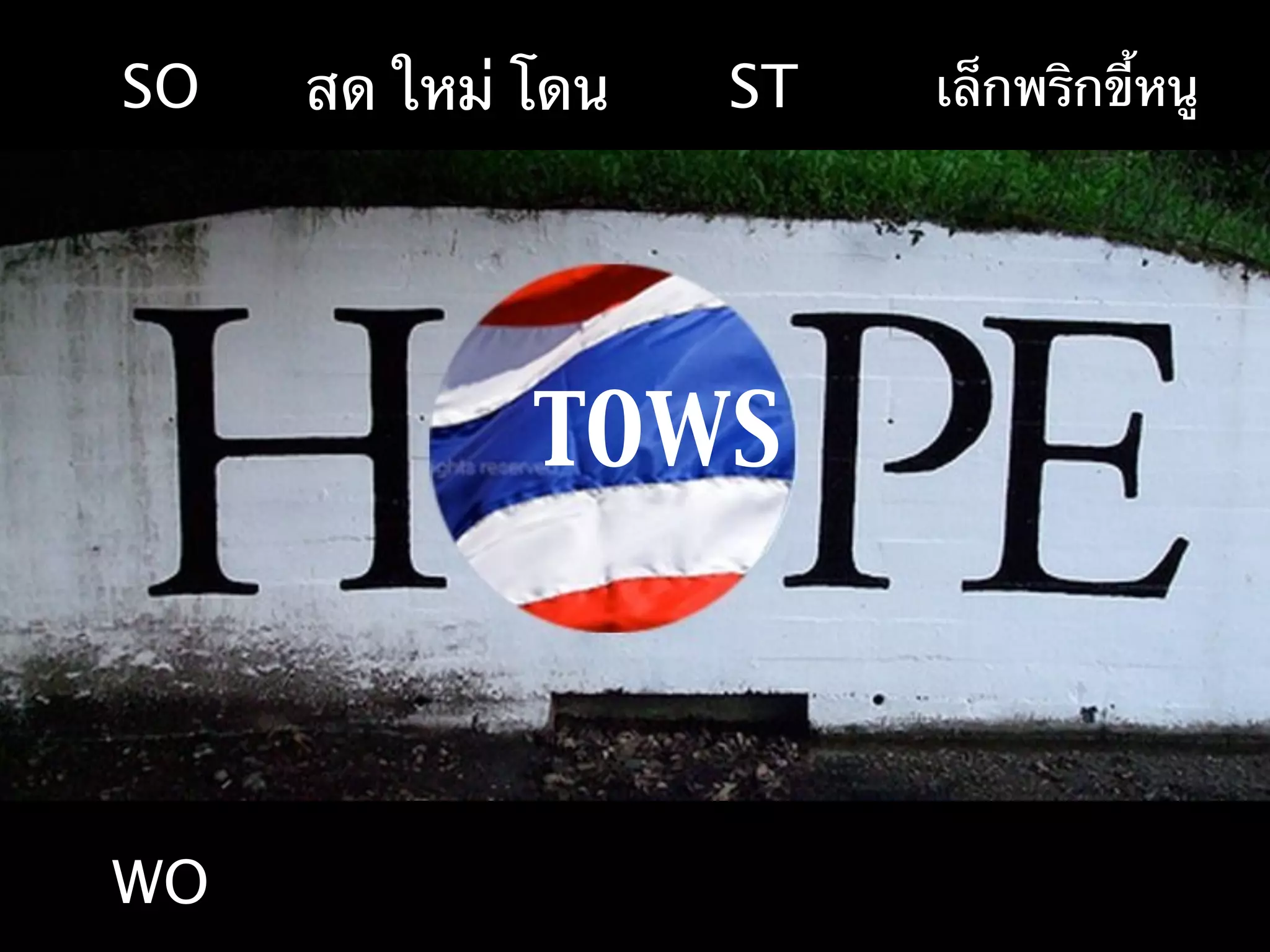SO   สด ใหม่ โดน   ST   เล็กพริกขี้หนู




             TOWS



WO
 