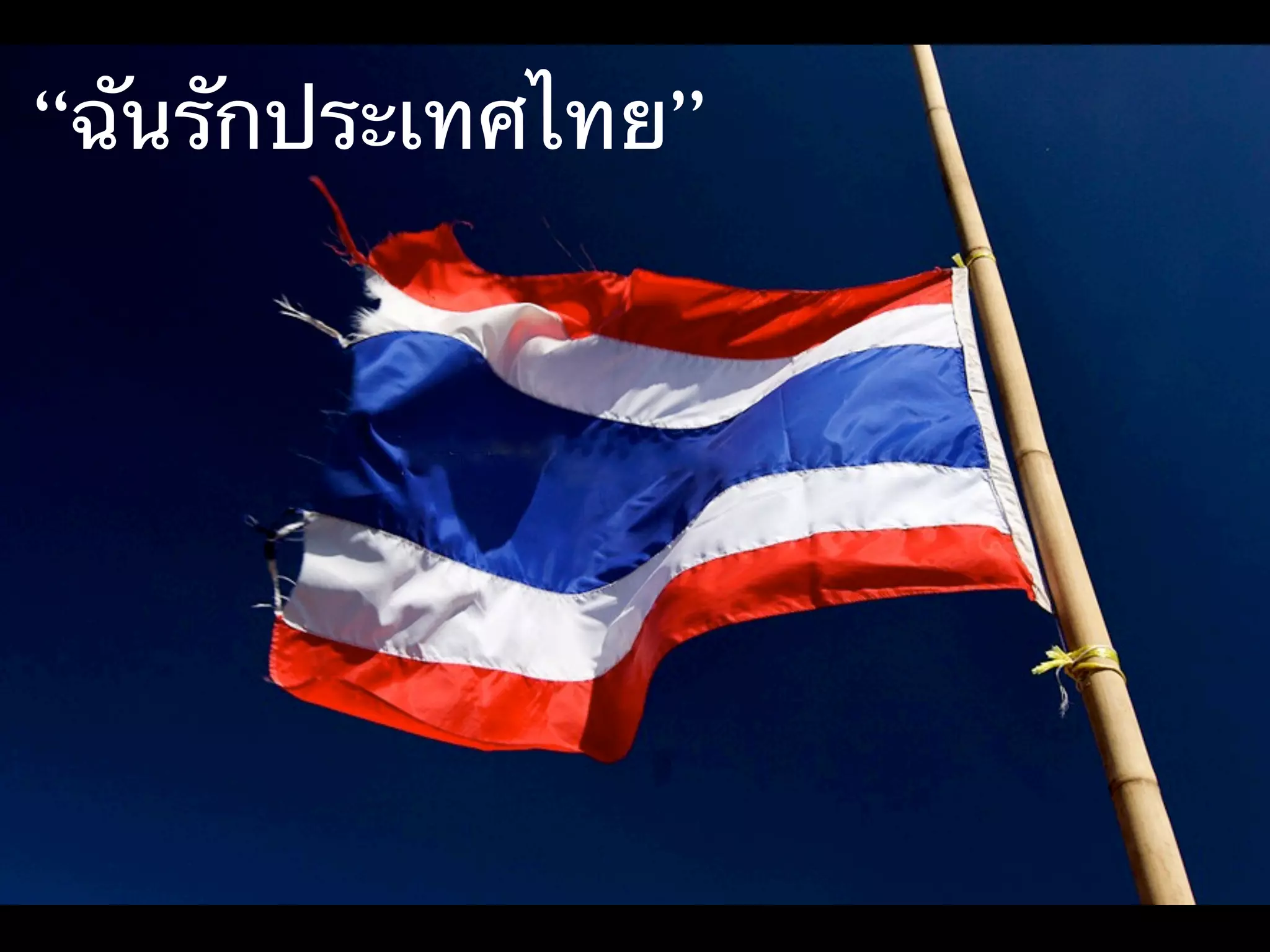 SO   สด ใหม่ โดน     ST   เล็กพริกขี้หนู
“ฉันรักประเทศไทย”


                    TOWS



 WO      ตังค์แม่     WT    มือใหม่หัดขับ
 