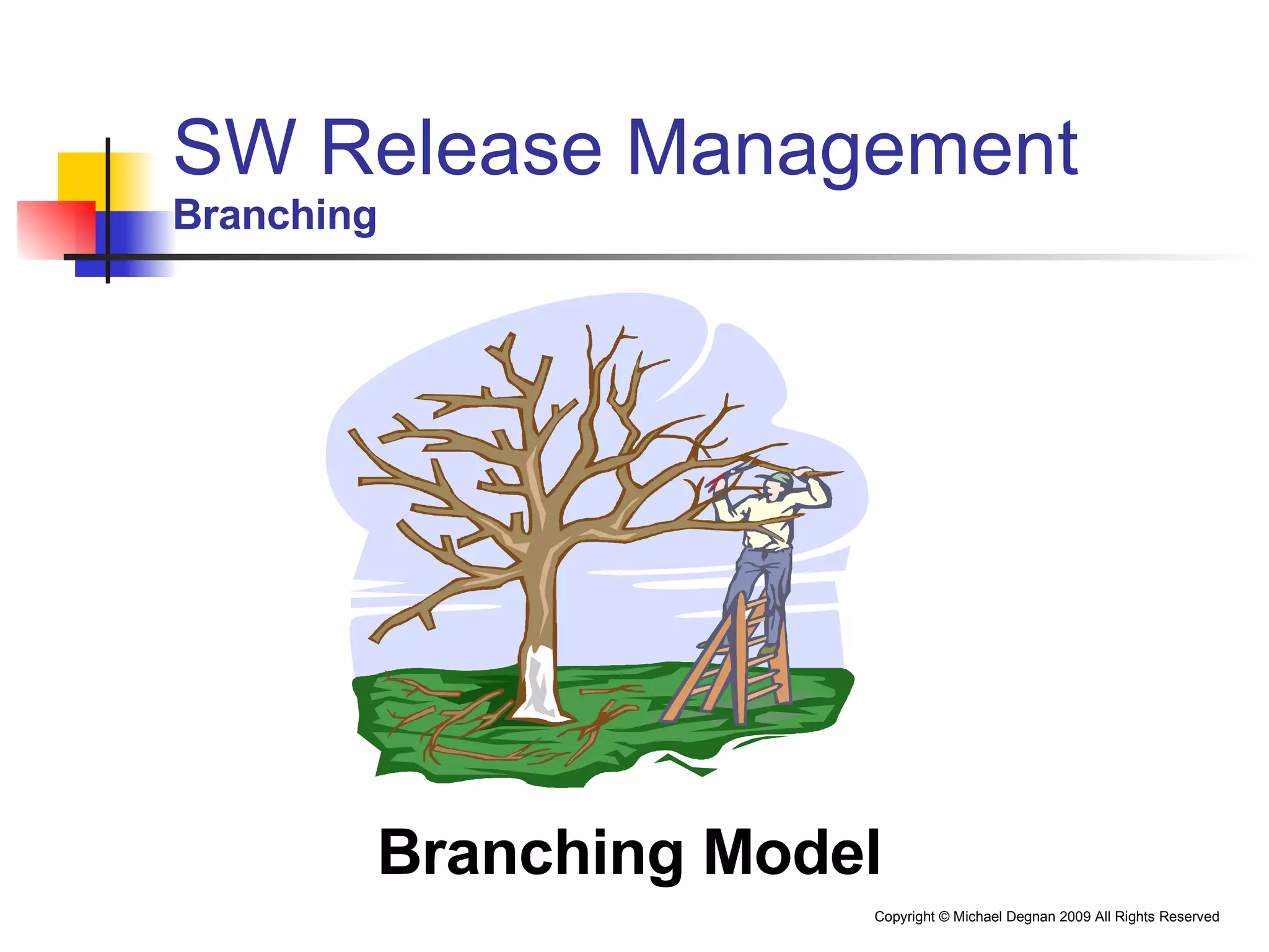 SW Release Management Branching Branching Model 