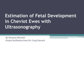 Estimation of Fetal Development
in Cheviot Ewes with
Ultrasonography
By Susanna Edwards
Project facilitation from Dr. Craig Darroch
 