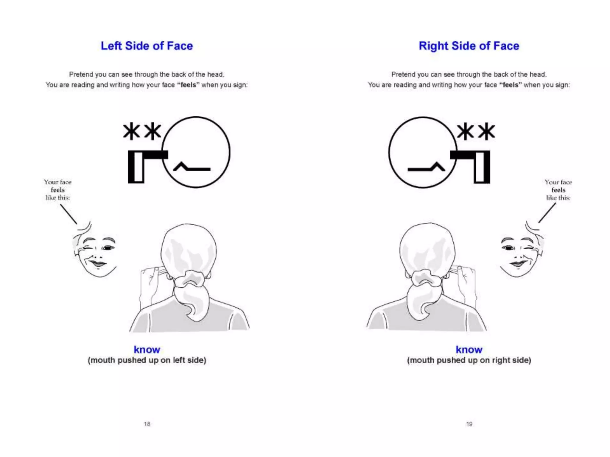 Lessons in SignWriting Textbook by Valerie Sutton