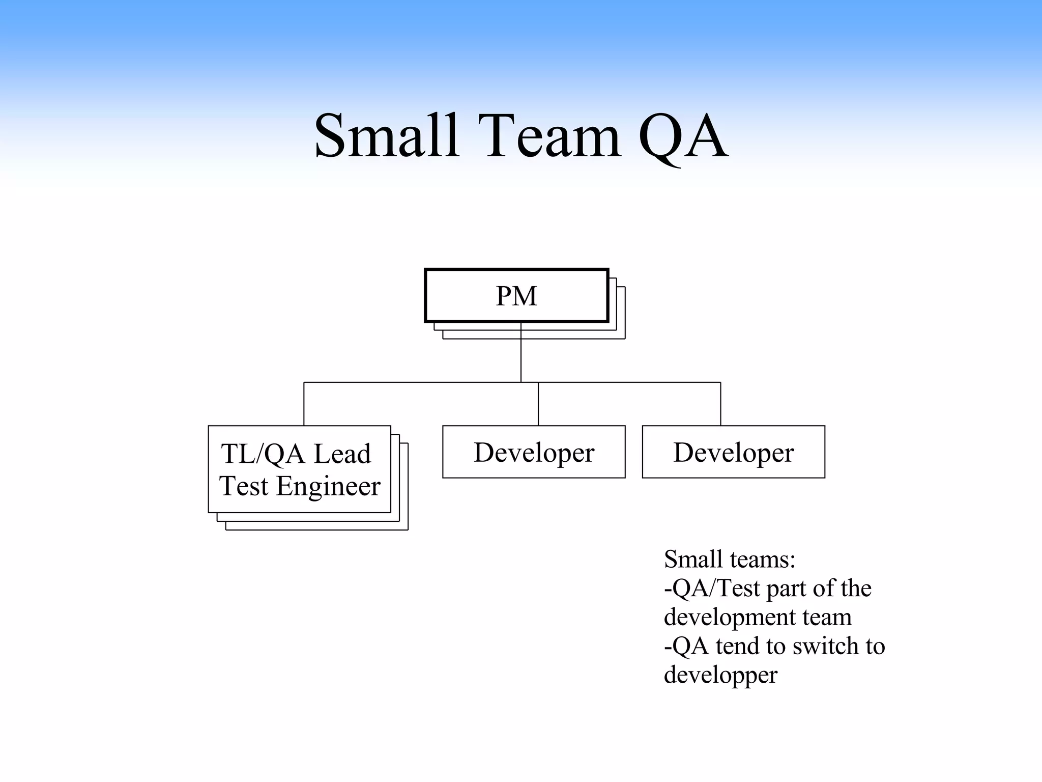 Small Team QA TL/QA Lead  Test Engineer Developer Developer PM Small teams: -QA/Test part of the development team -QA tend to switch to developper 