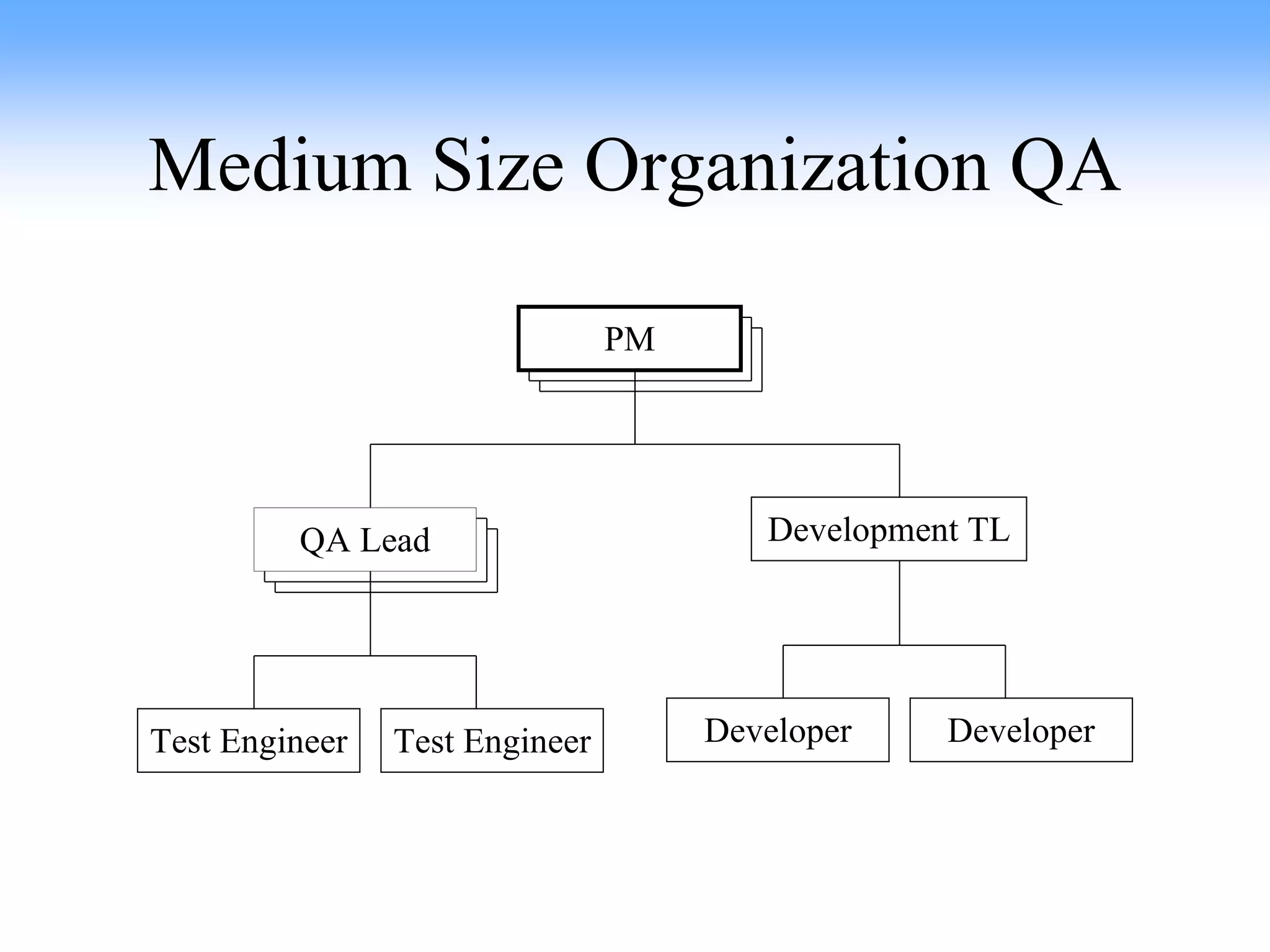 Medium Size Organization QA Developer Developer PM Development TL Test Engineer Test Engineer QA Lead 