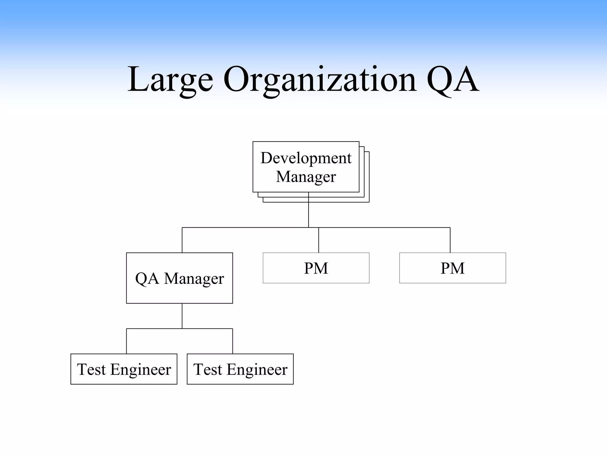 Large Organization QA QA Manager Test Engineer Test Engineer PM PM Development Manager 