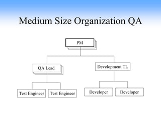 Medium Size Organization QA Developer Developer PM Development TL Test Engineer Test Engineer QA Lead 