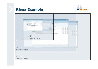 Riena Example 
24 
1920 x 1080 
30 
2560 x 1600 
13 
2560 x 1600 
 
