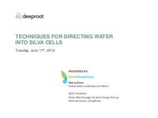 TECHNIQUES FOR DIRECTING WATER
INTO SILVA CELLS
Tuesday, June 17th, 2014
PRESENTED BY:
Marcy Bean
Sustainable Landscape Architect
With Panelists:
Peter MacDonagh, Kestrel Design Group
Michael James, DeepRoot
 