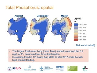 Total Phosphorus: spatial
8
August December March
• The largest freshwater body (Lake Tana) started to exceed the 0.2
mg/L of P - minimum level for eutrophication
• Increasing trend in TP during Aug 2016 to Mar 2017 could be with
high internal loading.
Ateka et al. (draft)
 