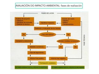 AVALIACIÓN DO IMPACTO AMBIENTAL: fases de realización
 