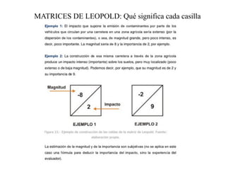 MATRICES DE LEOPOLD: Qué significa cada casilla
 