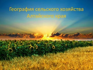 География сельского хозяйства
Алтайского края

 