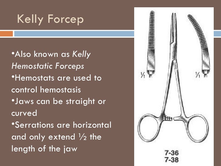 Sx Instruments2 Emily Dzek