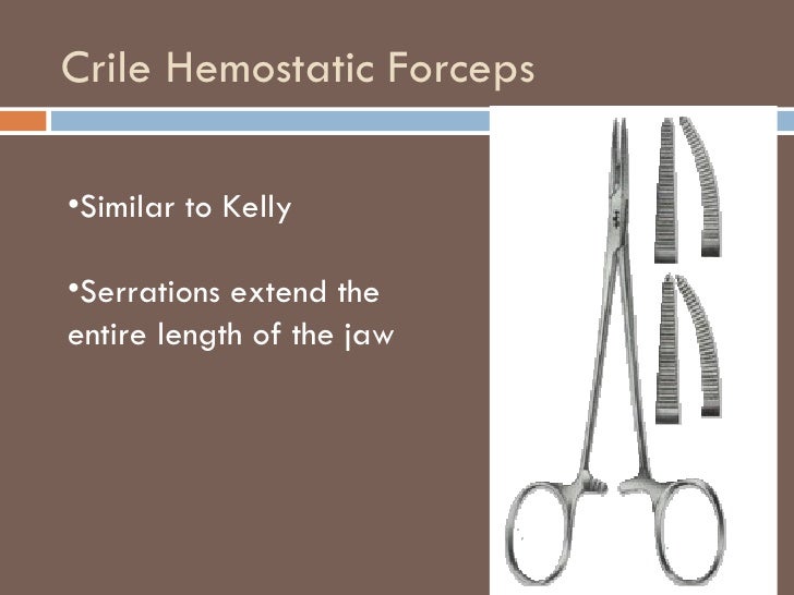 Sx Instruments2 Emily Dzek