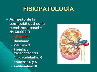 FISIOPATOLOGÍA Aumento de la permeabilidad de la membrana basal < de 68.000 D Albúmina Hormonas Vitamina D Proteínas transportadoras  Inmunoglobulina G Proteínas C y S Antitrombina III 