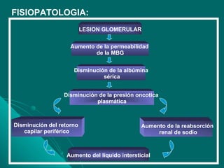 LESION GLOMERULAR Aumento de la permeabilidad  de la MBG Disminución de la albúmina sérica Disminución de la presión oncotica  plasmática Disminución del retorno  capilar periférico Aumento de la reabsorción  renal de sodio Aumento del líquido intersticial FISIOPATOLOGIA: 