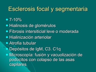 Esclerosis focal y segmentaria 7-10% Hialinosis de glomérulos Fibrosis intersiticial leve o moderada Hialinización arteriolar Atrofia tubular Depósitos de IgM, C3. C1q Microscopía: fusión y vacuolización de podocitos con colapso de las asas capilares 