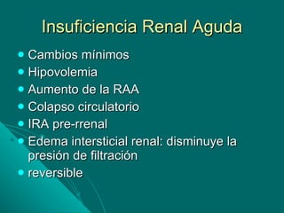 Insuficiencia Renal Aguda Cambios mínimos Hipovolemia Aumento de la RAA Colapso circulatorio IRA pre-rrenal Edema intersticial renal: disminuye la presión de filtración reversible 