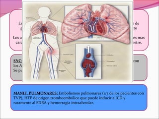 MANIFESTACIONES OBSTETRICAS:

   En mujeres con SAF se presentan abortos recurrentes (<10 semanas de
    gestación), pérdidas fetales (≥10 semanas), retraso en el crecimiento
         intrauterino, prematuridad (<37 semanas) y preeclampsia.
Los abortos recurrentes son frecuentes en la población general lo que es mas
 característico del SAF son las pérdidas fetales entre el 2do y 3er trimestre.
                La preeclampsia es la causa de prematuridad.


SNC: Epilepsia es la manifestación que presenta asociación mas clara con
los AAF en LES y también se presenta en pacientes con SAF 1rio.
Se puede presentar también Corea pero es poco frecuente.




MANIF. PULMONARES: Embolismos pulmonares (1/3 de los pacientes con
TVP), HTP de origen tromboembólico que puede inducir a ICD y
raramente al SDRA y hemorragia intraalveolar.
 