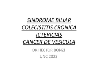 SINDROME BILIAR
COLECISTITIS CRONICA
ICTERICIAS
CANCER DE VESICULA
DR HECTOR BONZI
UNC 2023
 