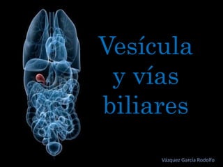Vesícula
y vías
biliares
Vázquez García Rodolfo
 