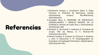 Referencias
Rockbrand Campos L, Koutsowris Sáenz S, Rojas
Carranza H. Síndrome de Boerhaave: manejo
mínimamente invasivo. Rev.Méd.Sinerg.
2019;4(9):e273.
Granados Mora E. SÍNDROME DE BOERHAAVE:
GENERALIDADES Y MANEJO BASADO EN LA
EVIDENCIA. Revista de Costa Rica y Centroamérica.
2015;615;361-365
Schwartz S, Brunicardi F, Andersen D. Principios de
cirugía. 10th ed. México, D. F.: McGraw-Hill
Interamericana; 2015.
Norton-Gregory A, Kulkarni N, O’Connor S, Budovec
J, Zorn A, Desouches S. CT Esophagography for
Evaluation of Esophageal Perforation. RadioGraphics.
2021;41(2):447-461.
1.
2.
3.
4.
 
