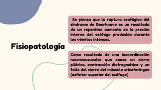 Fisiopatología
Como resultado de una incoordinación
neuromusucular que causa un cierre
pilórico, contracción diafragmática y un
fallo del cierre del músculo cricofaríngeo
(esfinter superior del esófago)
Se piensa que la ruptura esofágica del
síndrome de Boerhaave es un resultado
de un repentino aumento de la presión
interna del esófago producida durante
los vómitos intensos.
 