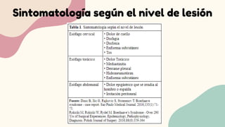 Sintomatología según el nivel de lesión
 