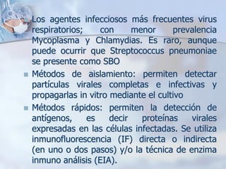    Los agentes infecciosos más frecuentes virus
    respiratorios;    con      menor     prevalencia
    Mycoplasma y Chlamydias. Es raro, aunque
    puede ocurrir que Streptococcus pneumoniae
    se presente como SBO
   Métodos de aislamiento: permiten detectar
    partículas virales completas e infectivas y
    propagarlas in vitro mediante el cultivo
   Métodos rápidos: permiten la detección de
    antígenos,     es    decir   proteínas   virales
    expresadas en las células infectadas. Se utiliza
    inmunofluorescencia (IF) directa o indirecta
    (en uno o dos pasos) y/o la técnica de enzima
    inmuno análisis (EIA).
 