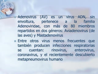    Adenovirus (AV) es un virus ADN, sin
    envoltura,    pertenece      a  la    familia
    Adenoviridae, con más de 80 miembros
    repartidos en dos géneros: Aviadenovirus (de
    las aves) y Mastadenovirus
   Entre otros virus menos frecuentes que
    también producen infecciones respiratorias
    se     cuentan:     rinovirus,   enterovirus,
    coronavirus, y el recientemente descubierto
    metapneumovirus humano
 